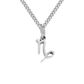 Stainless steel Capricorn zodiac pendant necklace in silver finish - Capricorn / Steel