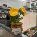 Crocheted yellow flower plant with emotional support card in a smiling brown pot - Double-Head Carnation - Yellow Series