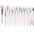 20-teiliges Make-up-Pinsel-Set mit weichen rosa Synthetikborsten und dünnen Griffen - Rosa Silber Set