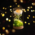 Rosa gialla fatta a mano all'uncinetto in cupola di vetro con luci LED e base in legno - Rosa Gialla Sfumata