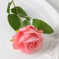 Single stem artificial pink rose with velvet petals and green leaves in a white tray - 7cm / Coral Pink (Velvet)