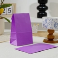 Mini purple polka dot animal paper gift bag in standing and folded positions - Solid Purple