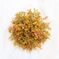 33cm künstlicher Eukalyptuskranz in herbstlichen Farben für Wanddekorationen - Orangener Eukalyptuskranz (AW250519)