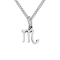 Stainless steel Scorpio zodiac pendant necklace in silver finish - Scorpio / Steel