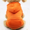 2XL / Tops / Orange