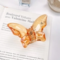 Elegant amber butterfly hair claw clip with transparent acrylic finish on French book - Large 5.5cm / Orange