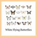 Set of vintage style white butterfly PET stickers for scrapbooking and DIY crafts - White Butterfly
