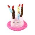 Pink plush birthday cake hat for pets with colorful candles and Birthday embroidery - Pink Birthday Hat