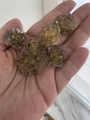 Handheld transparent 22mm resin rose charms with embedded gold foil for DIY crafts - Yellow