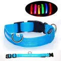 Collier LED bleu pour chien avec charge USB et sangle en nylon lumineux, taille S - XXL-Pile / Bleu