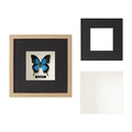 Shadow box frame for butterflies with removable inner frame and real glass in wood finish - Natural Wood Color - 3cm Hollow / 4x6 inches (10.1x15.2cm)