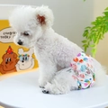 White polka dot dog physiological pants with lace mesh skirt for small pets - L / Colorful Bubbles