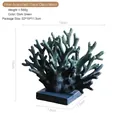Dark green resin coral sculpture with black rectangular base and size measurements - Small / Purple