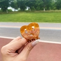 Amber acetate hair claw clip with gold accents in a knotted heart shape design - Heart Butterfly Loop (6cm)