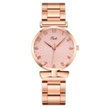 Elegant rose gold women's quartz watch with pink textured dial and Tadi metal strap - Pink