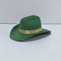 Detailansicht grüner Cowboyhut für Haustiere mit goldenem Seidenband und Sternverzierung - Klein 13.5cm / Grün Goldband