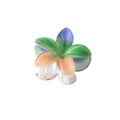 Pearlescent gradient blue and green plumeria flower hair claw clip with white teeth - 8cm Pearlescent - Orange-green-purple