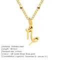 Elegant 14K gold plated stainless steel Capricorn constellation pendant necklace for women - Capricorn / Gold