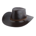 Dark Brown Leather