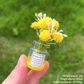 Miniature glass vase with yellow star flowers, height 60mm, weight 12g for desk decor - [Luminous Sand] Yellow Vase