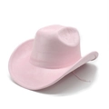 Detail of pink faux suede western cowboy hat with wide brim and decorative stitching - M (56-59cm) / Pink (Suede)