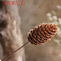 Handgefertigter Naturkiefernzapfen am Stiel für Trockenblumenarrangements, 47cm - Natürliches Kiefernturm-Dekor - 47 cm Stiel