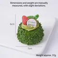 Modelo de pastel de mousse de coco verde con fresa y detalles de medidas precisos - Pastel verde