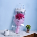 Pink gypsophila dried flower bouquet in a transparent bag with handle gift - Pink Gypsophila Gift Bag Greeting Card