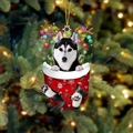 Husky-Hund in roter Weihnachtssocke, Ornament mit goldener Schnur am Festbaum - Husky Typ 2