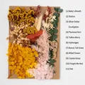 Preserved dried flower DIY kit with 11 types of colorful natural flora for handicrafts - Flower Pack A20