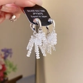 Close-up of 925 sterling silver tassel earrings with crystals and JPY5670 price tag - Silver (13# Silver Pin)
