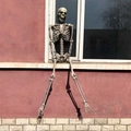 Lebensechtes Halloween Skelett Modell als Außendekoration auf einem roten Fenstersims - 185cm