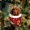 Hund in Weihnachtsstrumpf Anhänger mit Rentiergeweih und bunter Lichterkette - Brauner Jagdhund