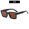 Square black frame sunglasses with dark brown lenses and silver accents, variant C3 - Black Frame Tea Lens (C3)