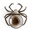 Translucent black spider fruit plate for Halloween decor with glitter finish, 23x24cm size - Black Spider Serving Plate