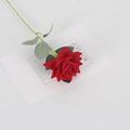 Single long-stemmed red velvet artificial rose with green leaves on white card - Velvet Small Corner Rose Light Red