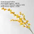 Violet Yellow