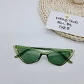 Retro triangle cat eye sunglasses with translucent green frame and dark green lenses - Transparent Green