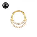 Golden G23 titanium double row zircon hinged segment nose ring earring hoop - Front Gold (Titanium)