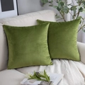 Set of 2 olive green velvet cushion covers for sofa, elegant solid color throw pillow cases - 30*50cm (No Insert) / Tea Green