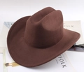 Dark brown felt western cowboy hat with black adjustable drawstring and curved brim - Minimalist Plain / Coffee