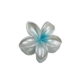 White and blue gradient plumeria hair claw clip with a pearlescent finish and clear teeth - Pearly Frangipani / Blue