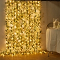 Battery 2M 20LEDs / Maple Evergreen Vine