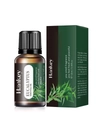 Huile essentielle d'eucalyptus 10ml en flacon ambré avec sa boîte d'emballage verte - Eucalyptus / 10ml