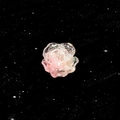 Pink resin camellia stud earring with transparent finish on a starry black background - Pink (A907-5#)