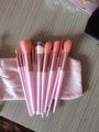 Pink 12-piece soft makeup brush set with matching storage pouch on wood table - 13Pcs Pink + Velvet Bag