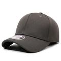 Classic dark brown fitted baseball cap in twill fabric with holographic size sticker - One Size / Dark Gray