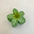 Translucent green plumeria flower hair claw clip made of resin for women hairstyles - 8cm / Green