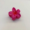 Vibrant pink translucent frangipani flower hair claw clip with glossy finish - 6x5x3.8CM / Rose Red