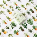 Green Oxygen Life boxed stickers featuring hand-drawn botanical green plant designs - Green Oxygen Life